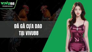 Đá Gà Cựa Dao Tại Vivu88