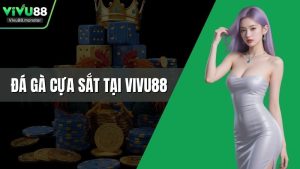 Đá Gà Cựa Sắt Tại Vivu88